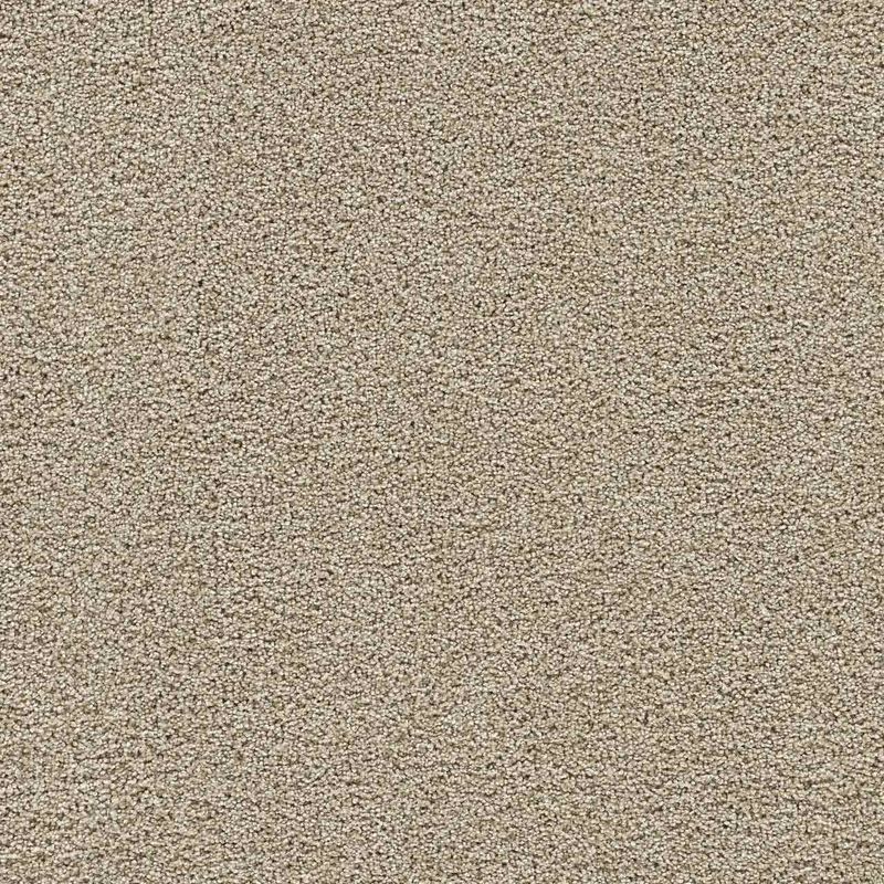 Close view of a neutral beige carpet texture